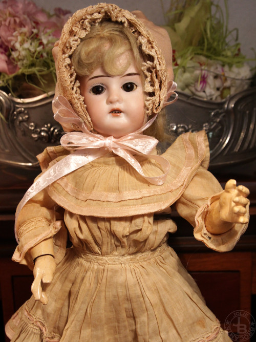 アンティークビスクドール AW Antique Bisque Doll AW