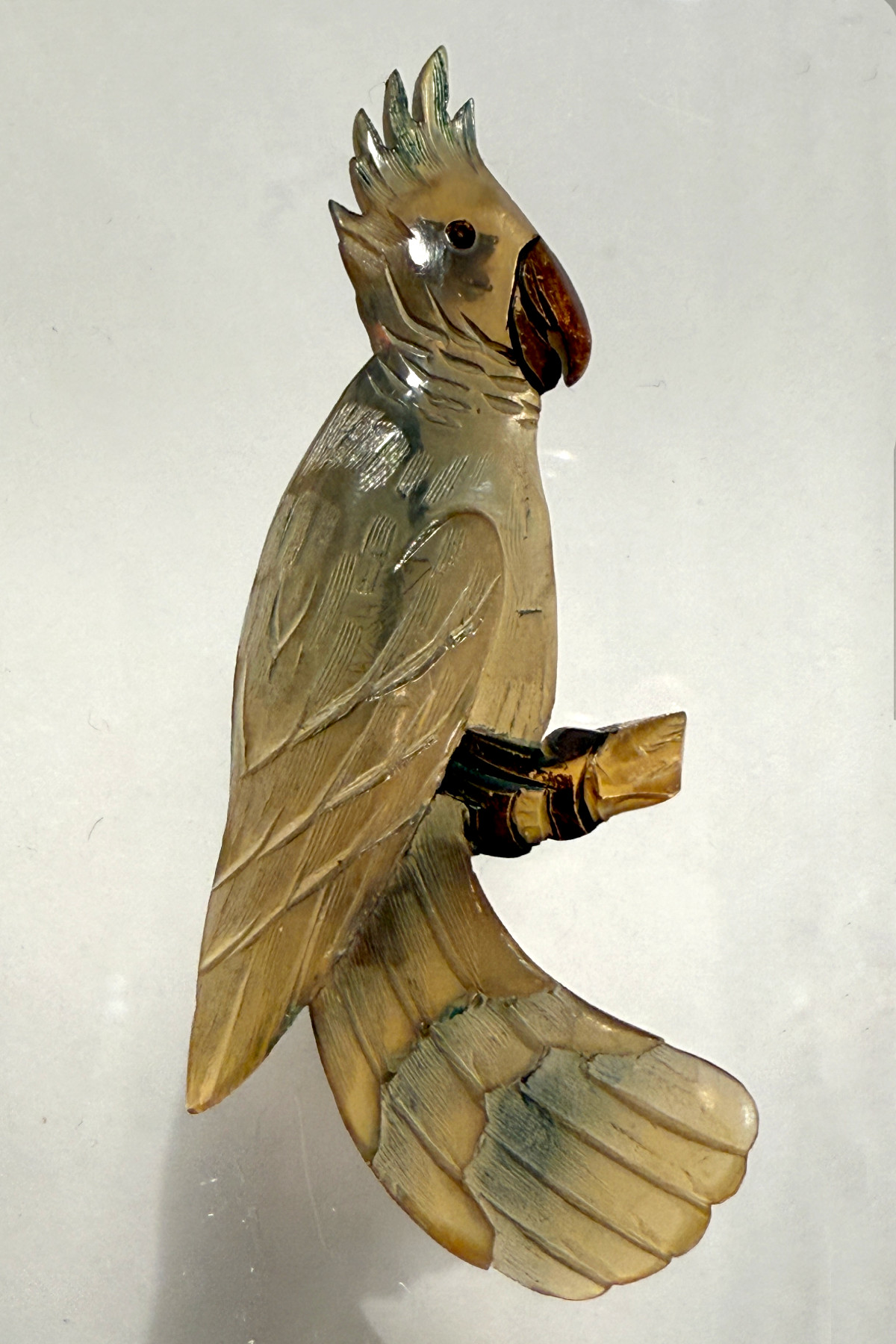 Antique horn Jewelry