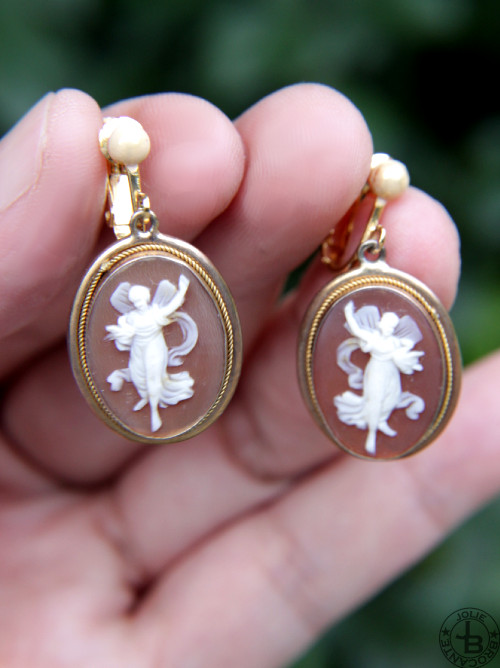 シェルカメオ Shell Cameo