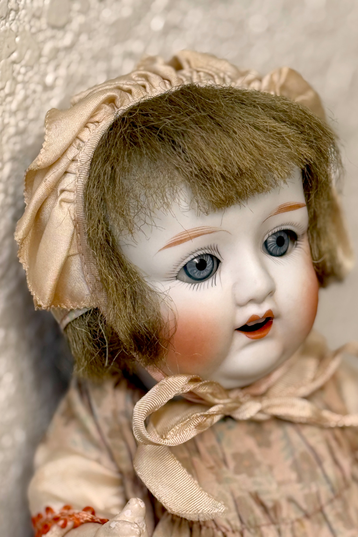 ������ӥ��� ������ ����33cm