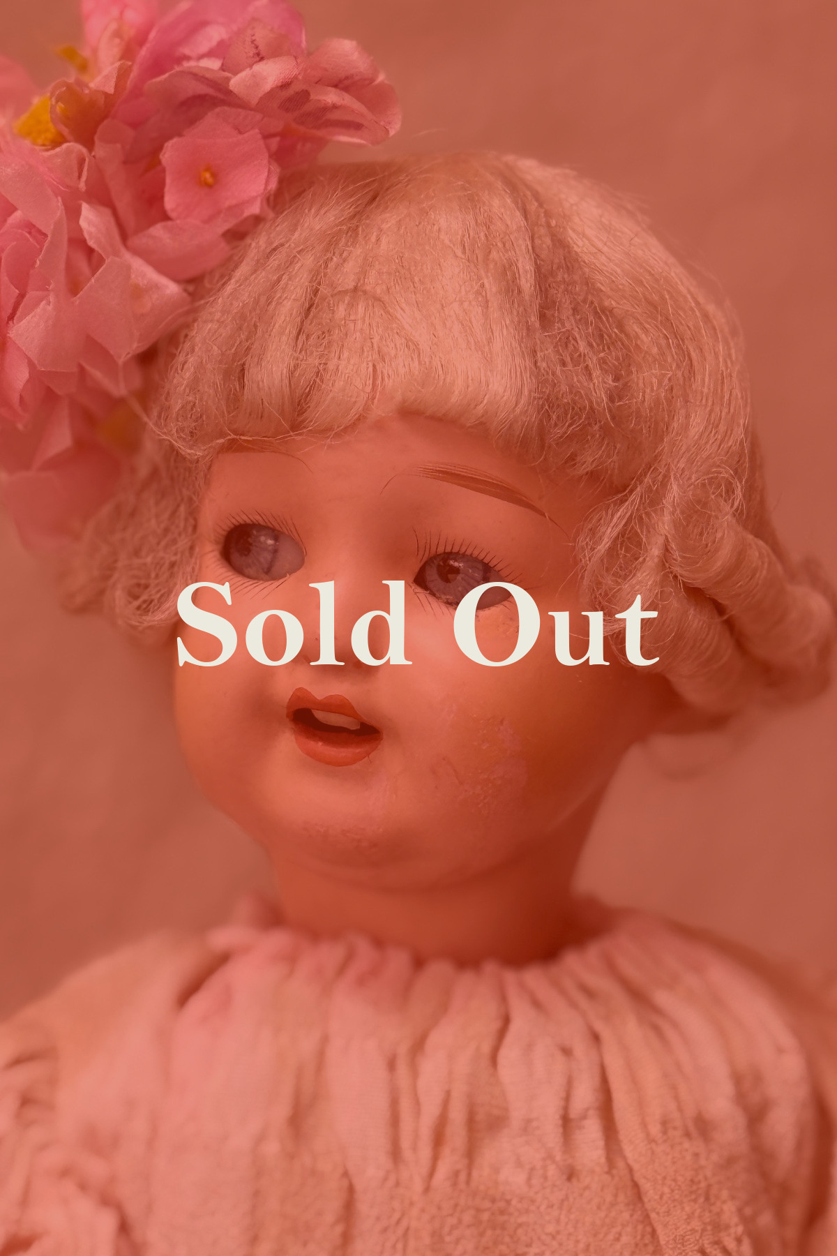 ������ӥ��������ܡ��ե顼�ƥ�����